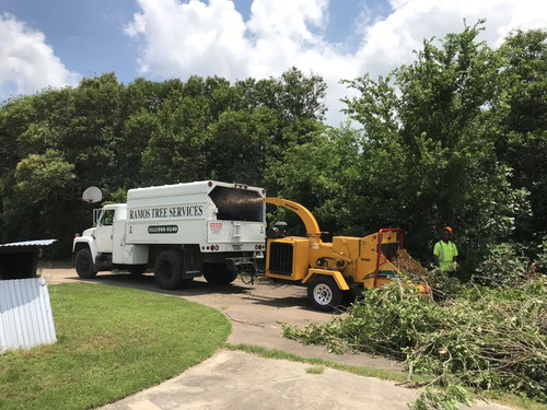 Ramos Tree Services LLC