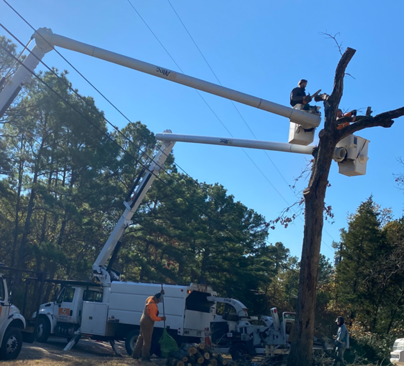 Sullins Tree Service